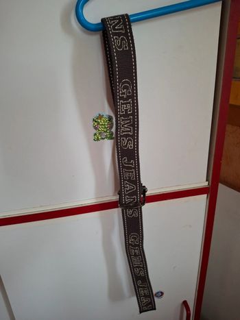 Ceinture