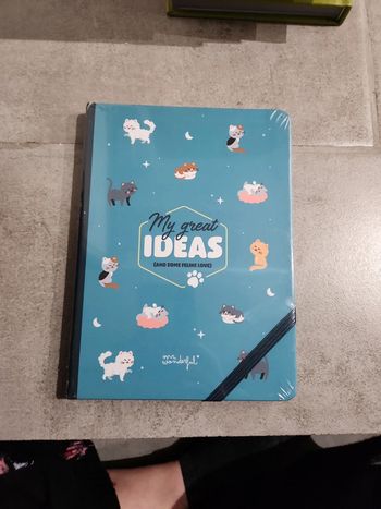 Livre : My great ideas