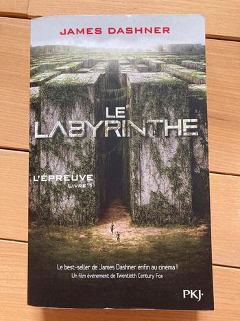 Le labyrinthe tome 1 grand format