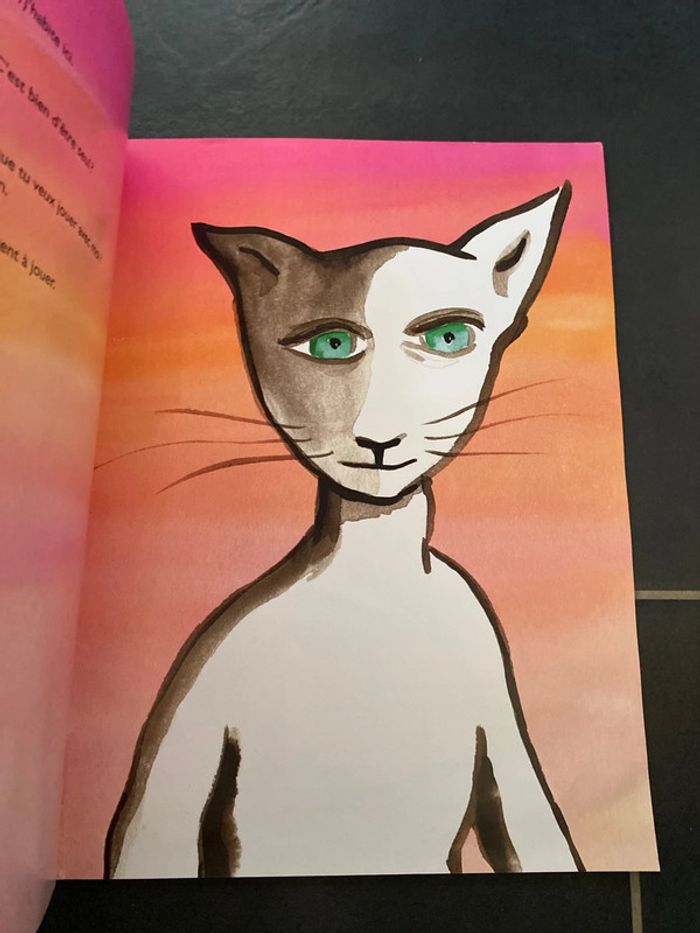 Livre le chat rouge - photo numéro 2