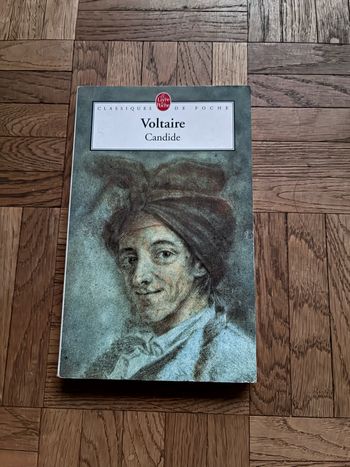 Candide de voltaire