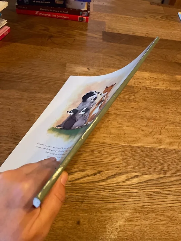 Livre L’école des Max Monsieur Blaireau et Madame Renarde 1- La rencontre - photo numéro 2