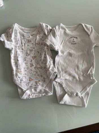 Lot 2 bodies