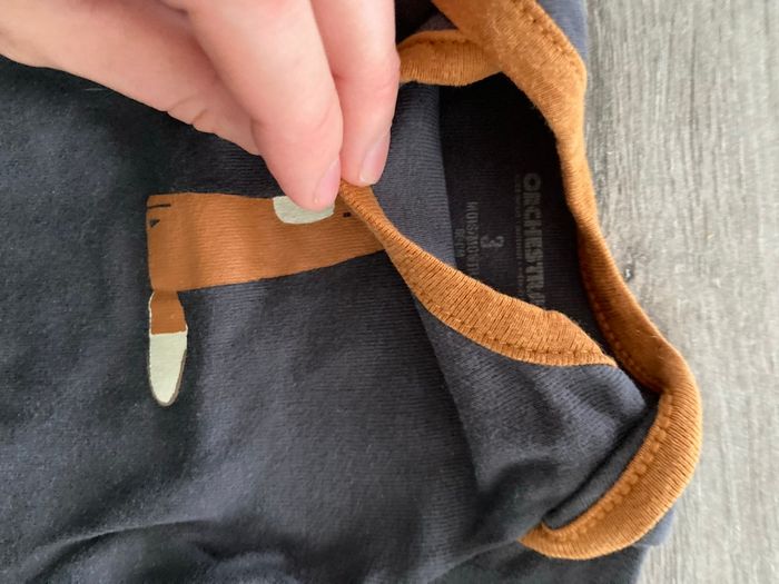 Bodys orchestra - photo numéro 7