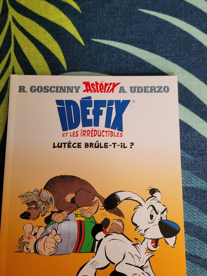 Livre idefix et les irréductibles lutece brûle t il - photo numéro 3
