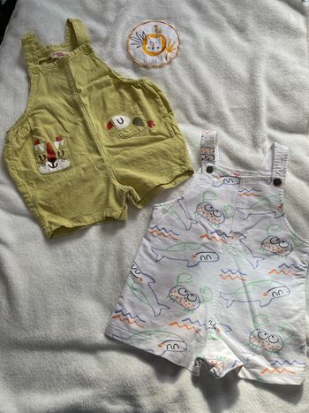 Salopettes DPAM 24 M