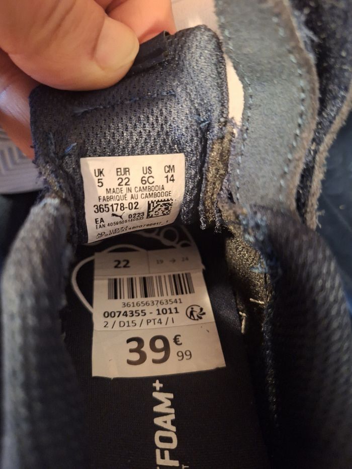 Puma - photo numéro 2