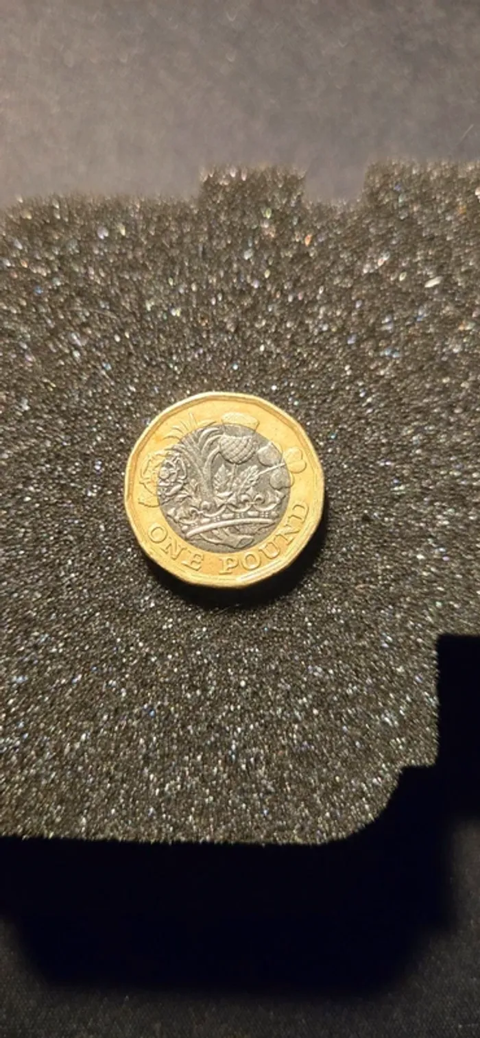 Pièce One Pound Élisabeth 2, 2016 - photo numéro 2