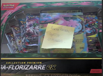 [Coffret Mega Florizarre]