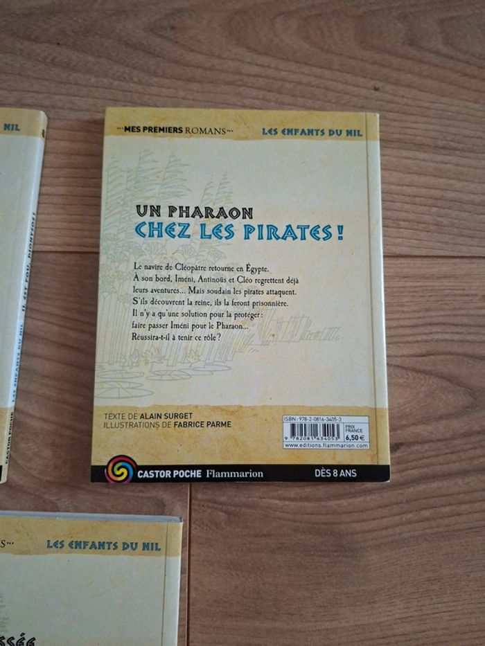 Livres - photo numéro 6