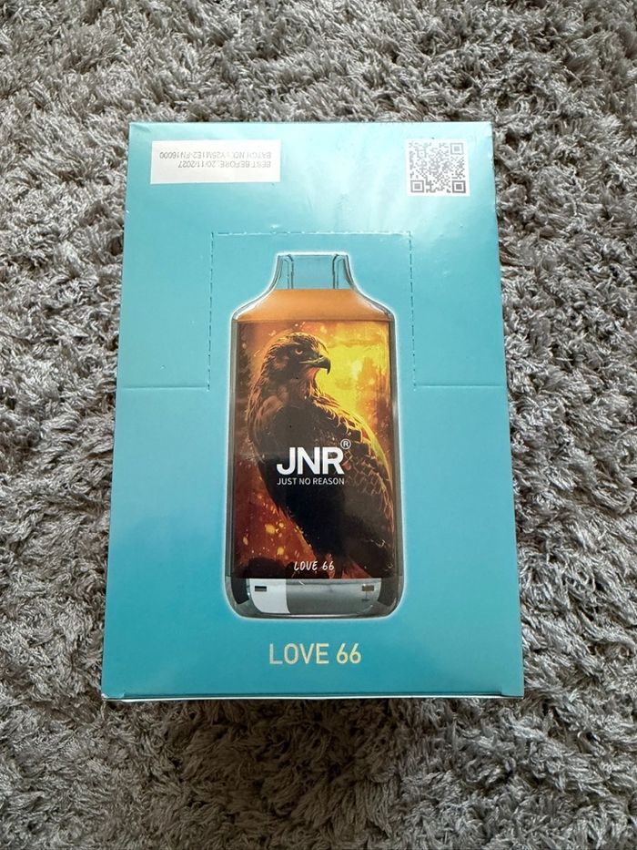 JNR 16k - photo numéro 7