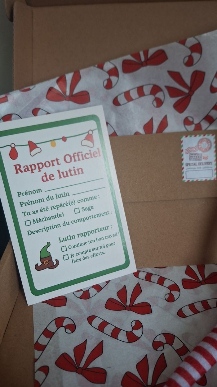 Lutin farceur - photo numéro 3