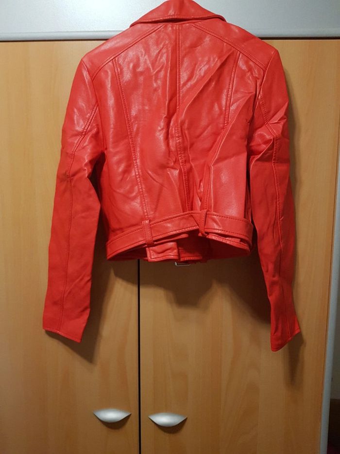 Veste - photo numéro 4