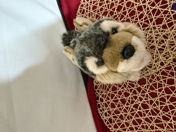 Scout Peluche en forme de loup assis - photo numéro 3