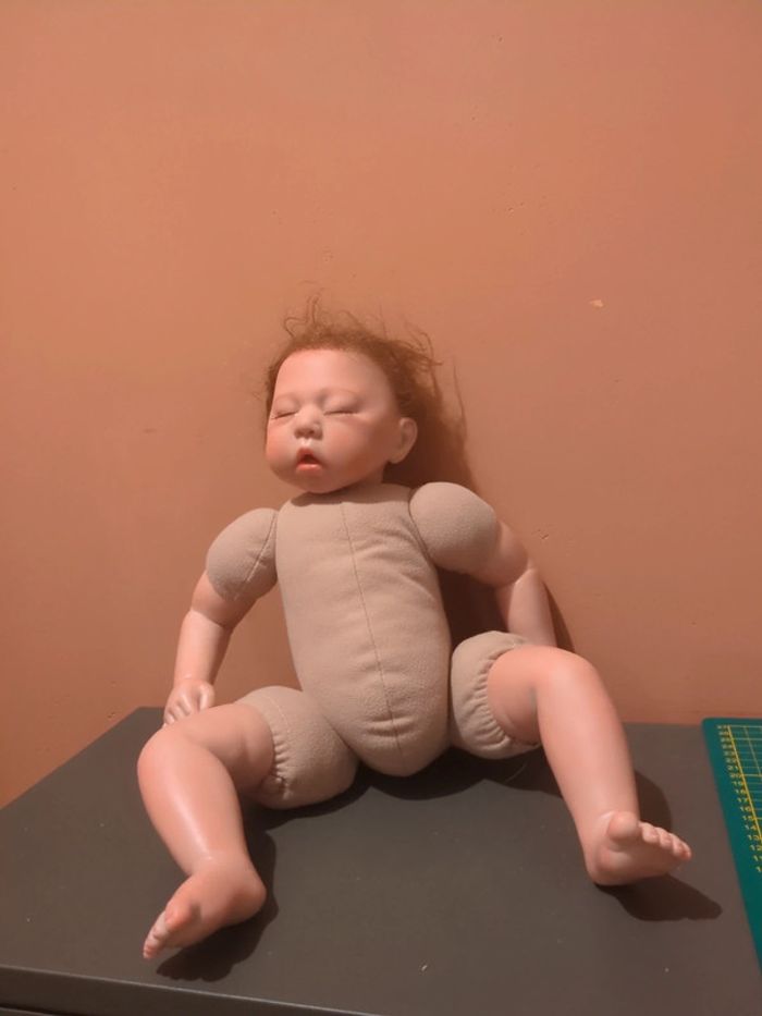 Reborn otarddolls - photo numéro 2