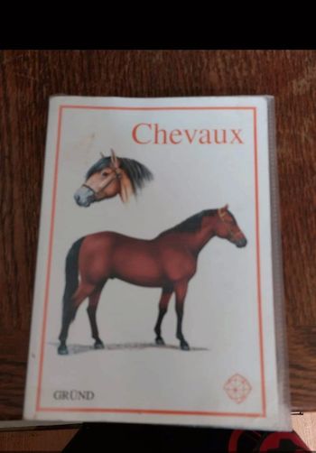 Livre cheval