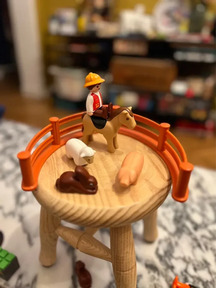 Animaux et cavalier