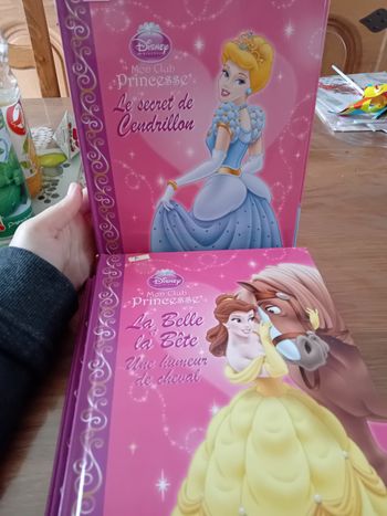 Livre princesse
