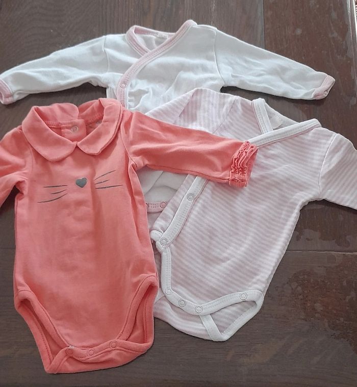Lot 3 bodies