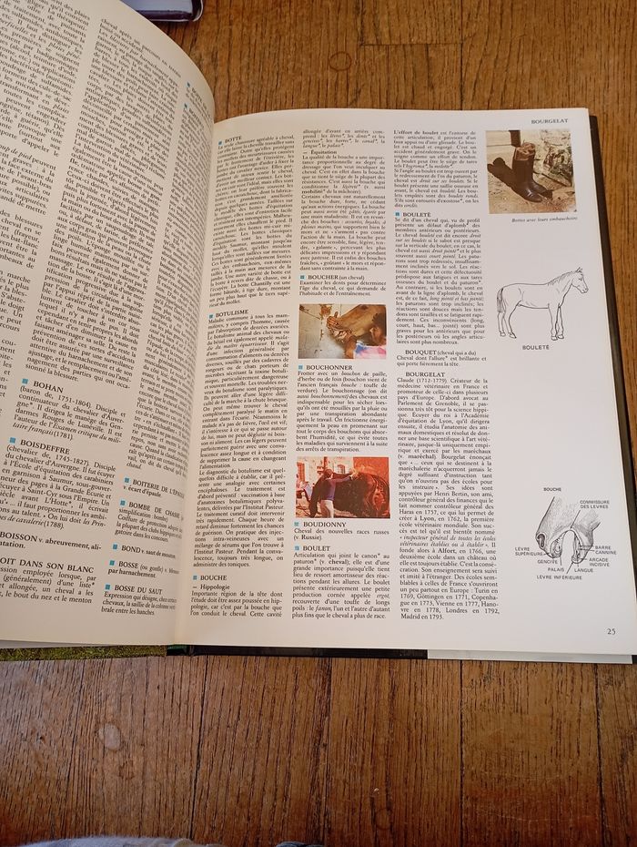 Dictionnaire encyclopédique le cheval neuf Jacques Tondra - photo numéro 2