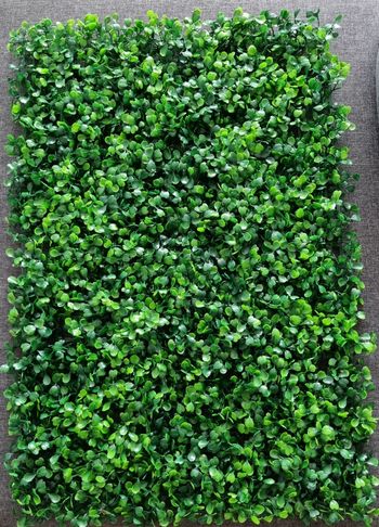 Buis artificiel- mur de fleurs