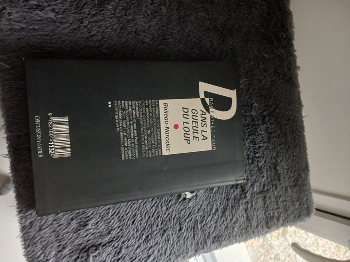 Livre enfant - photo numéro 2