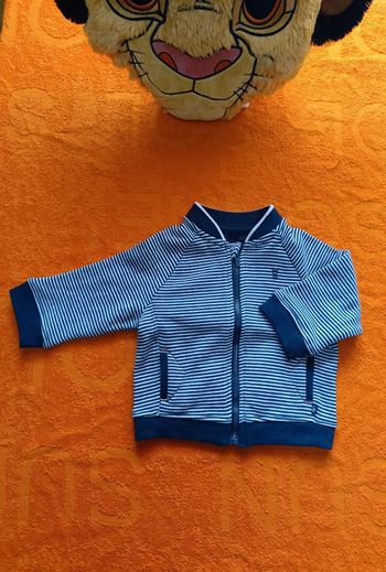 Veste sweat zippée rayé Obaïbi 6 mois