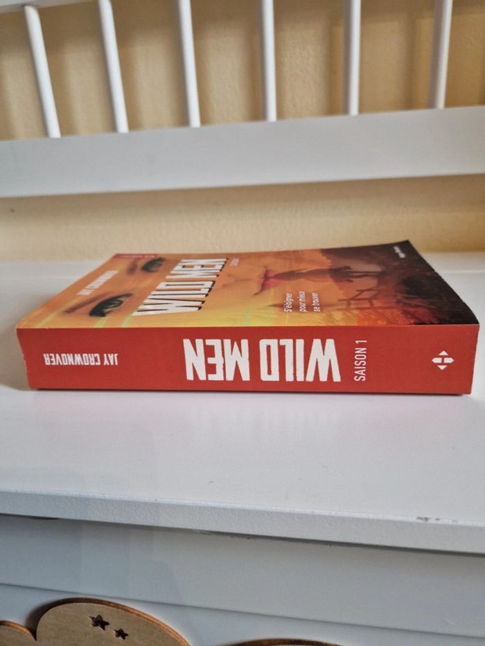 Livre romance - photo numéro 3