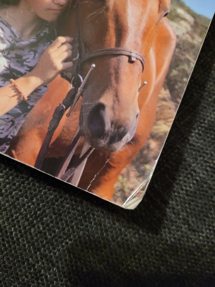 En Selle! - photo numéro 3