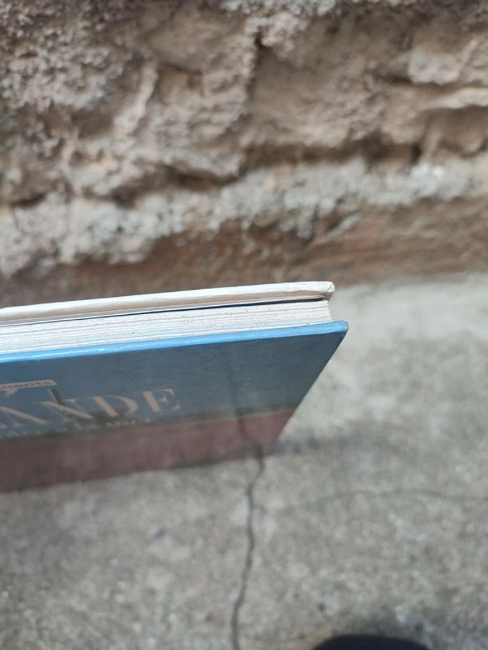 Livre hollande la terre volée à la mer - photo numéro 3