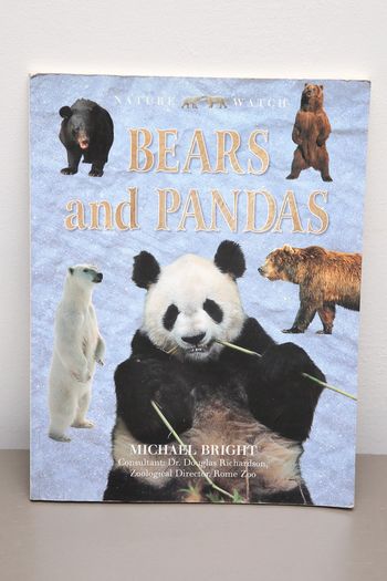 Bears and pandas