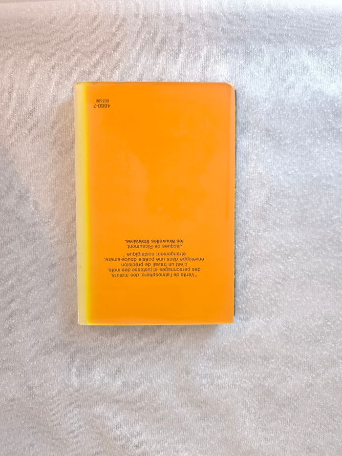 Livre l'été à coeur perdu - photo numéro 4