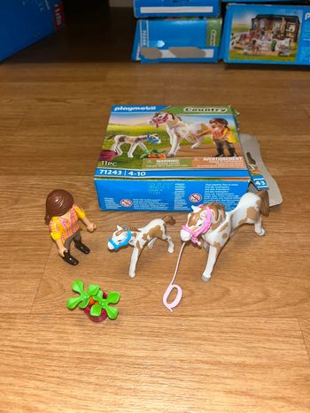 Playmobil country 71243