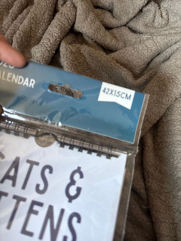 Calendrier - photo numéro 3