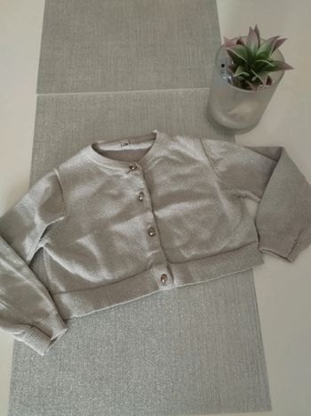 Jolie gilet gris brillant taille 23 mois