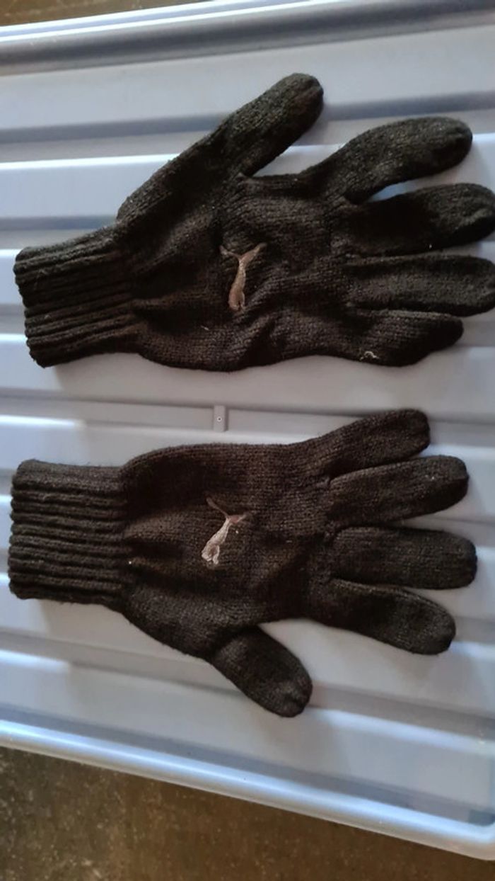 gants adultes