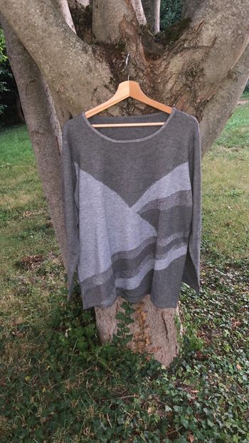 Pull gris