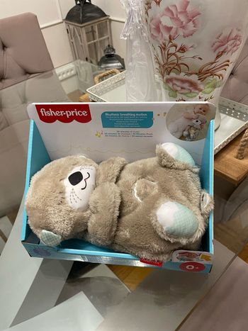 Loutre fisher price