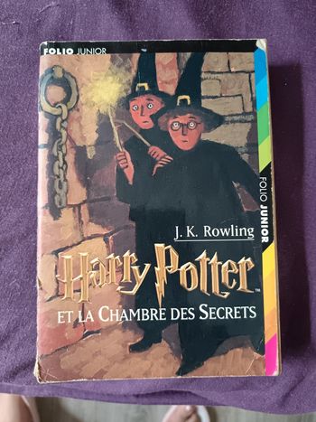Livre Harry Potter et la chambre des secrets