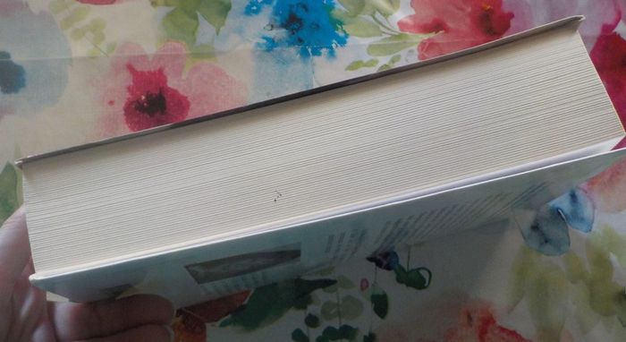 La Vallée des larmes de Sonia Marmen Ed. Le Grand Livre du Mois - photo numéro 5