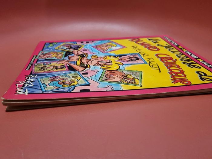 La jeunesse de Richard crèvecœur De Peter pluut les humanoïdes associés. 1984 - photo numéro 10