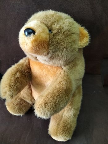 Peluche ours
