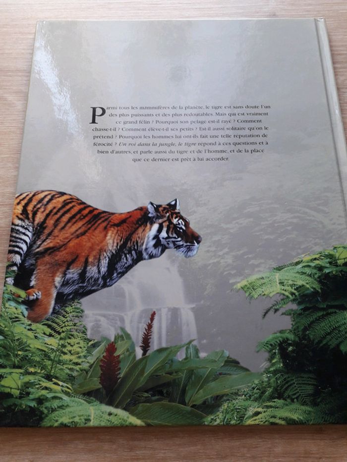 Un roi dans la jungle, le tigre - photo numéro 2