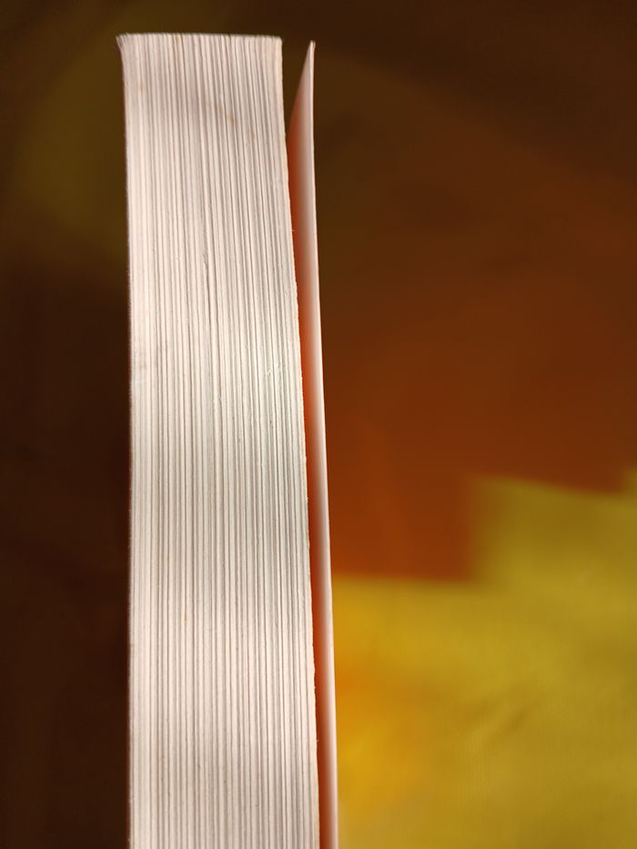 livre scara boy - photo numéro 4