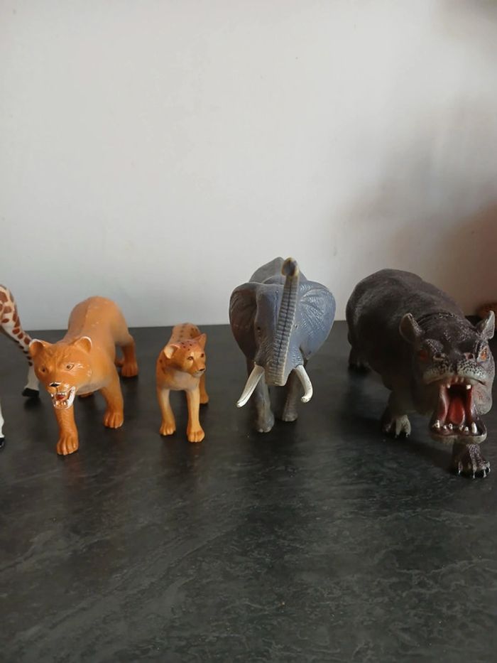 Lot animaux - photo numéro 5