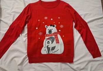 Pull de noel