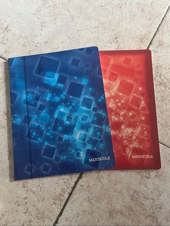 Lot de 2 petits cahiers