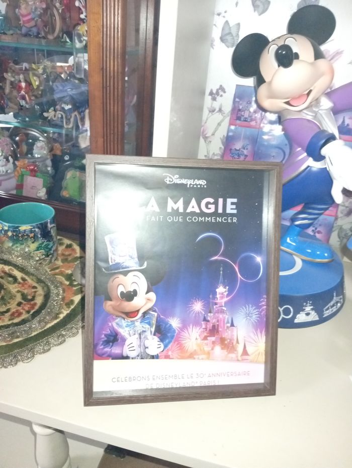 Cadre 30 ans de magie Disneyland Paris - photo numéro 2