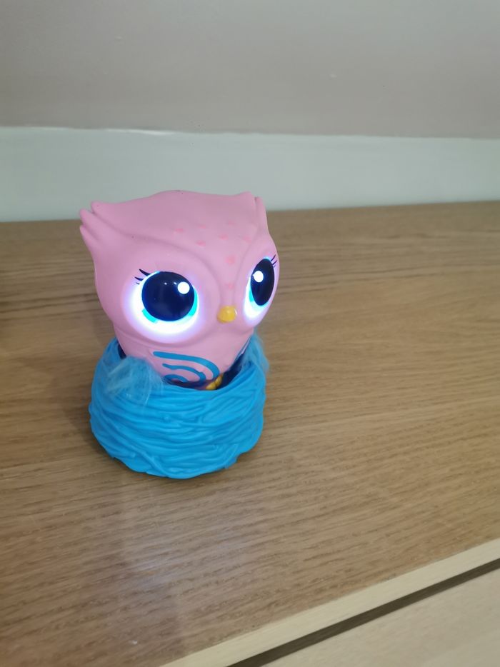 Owleez - photo numéro 7