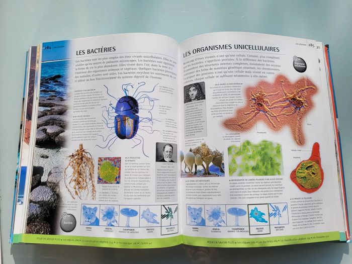 Grosse encyclopédie Sciences 🔬 et technologies 💻 Les Yeux de la Découverte, Gallimard Jeunesse - photo numéro 16